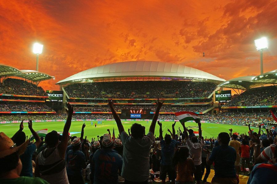 Fan raising the roof cheering cricket