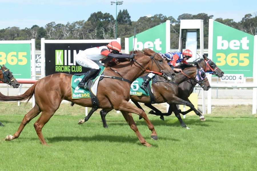 Kilmore Racing Club launches Racing Above